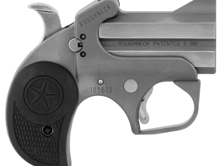 Bond Arms BARN Roughneck  9mm Luger 2rd 2.50" Stainless Steel Double Barrel w/Bead Blasted Frame, Blade Front/Fixed Rear Sights, Rebounding Hammer, Rubber Grip, Manual Safety