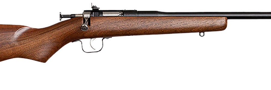 Chipmunk 00001 Youth  22 LR 1rd 16.13" Blued Steel Barrel & Receiver, American Walnut Fixed Wood Stock