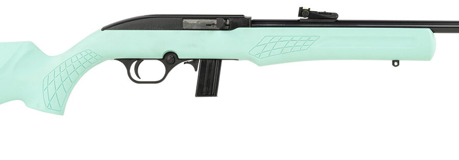 Rossi RS22L1811TL RS22  Full Size 22 LR 10+1 18" Matte Black Steel Barrel, Matte Black Grooved Aluminum Receiver, Teal Synthetic Fixed Stock