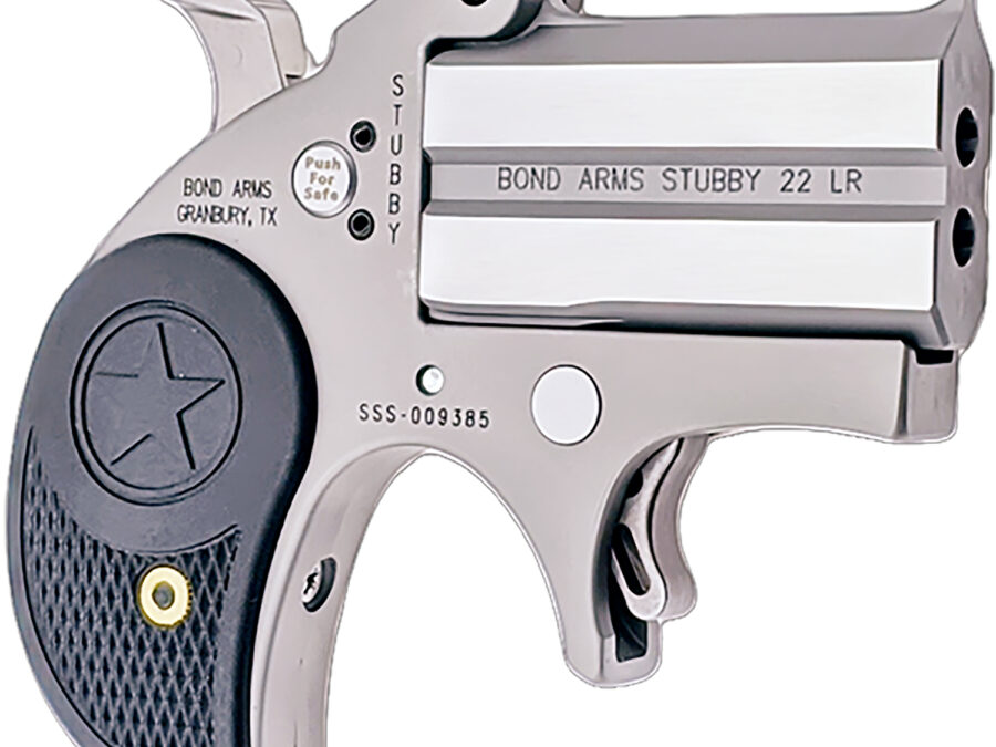Bond Arms BASTB Stubby  22 LR 2rd Shot 2.20" Matte Stainless Steel Frame Black Textured Polymer Grips
