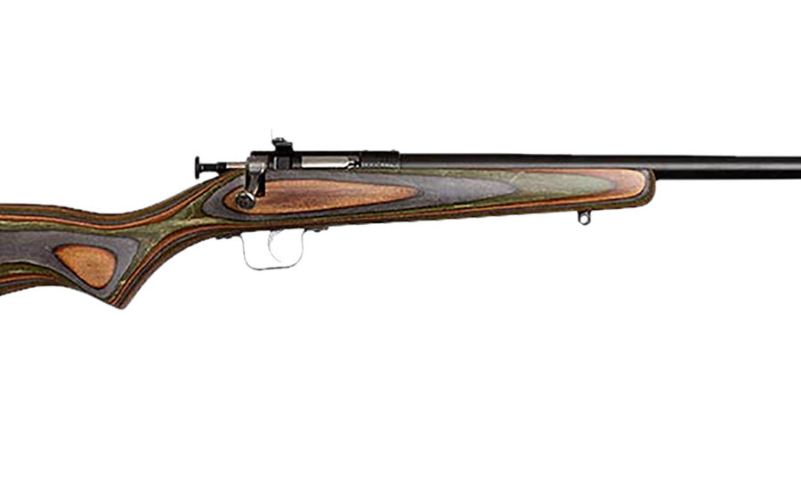 Chipmunk 00005 Gen2  22 LR 1rd 16.10" Blued Tapered Single Shot Barrel, Fixed Camo Laminate Stock