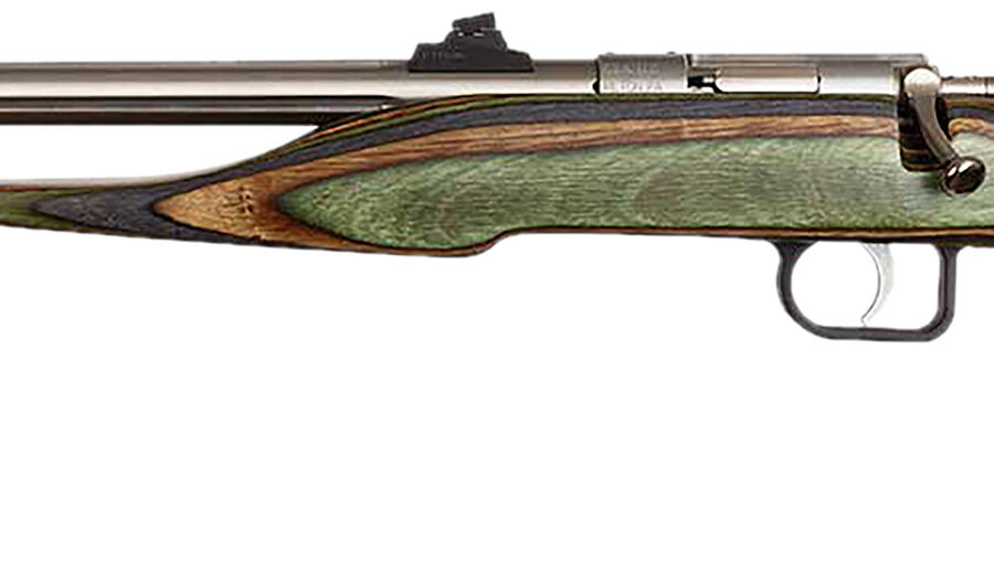 Chipmunk 41105 Hunter Adult 22 Mag 1rd 9" Threaded Stainless Steel Single Shot Barrel, Camo Laminate Stock