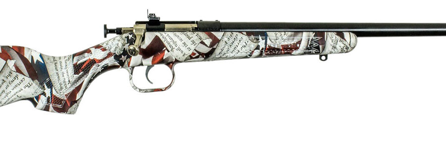 Crickett KSA2168 Youth  22 LR 1rd 16.12" Blued Barrel & Receiver, Fixed Front/Adjustable Rear Peep Sight, American Flag/Amendment Synthetic Stock w/11.5" LOP, Rebounding Firing Pin Safety