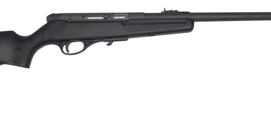 RIA 22LR YOUTH SEMI 10R