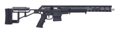 LSI TAIPAN .223 REM PUMP ACTIO