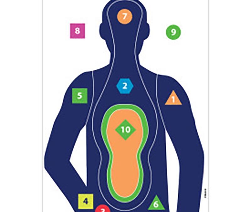 EZ AIM 23X35 PAPER TGT SHOT COMMANDER SIL