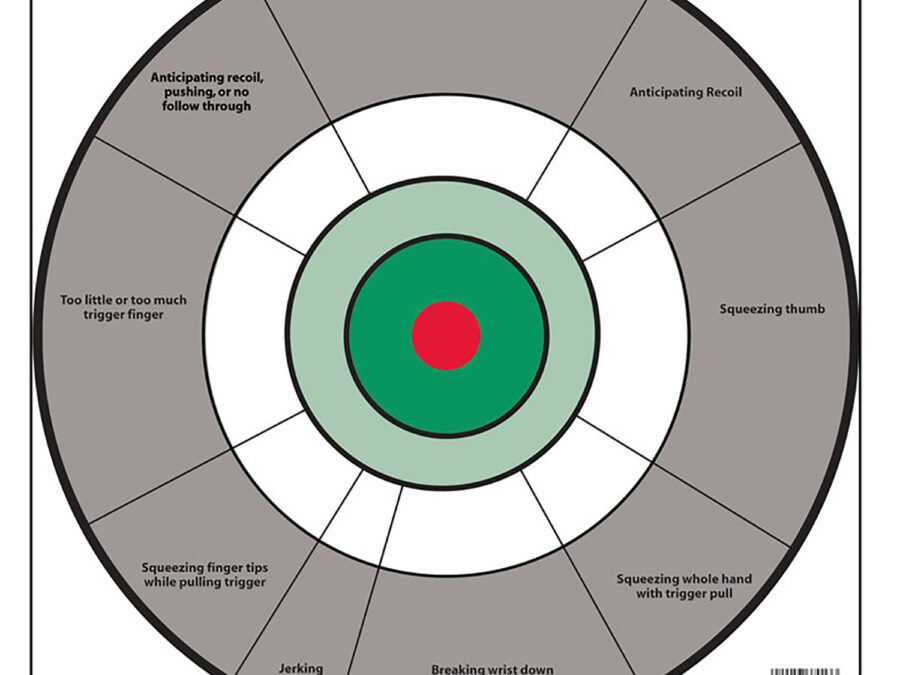 Birchwood Casey 37245 EZE-Scorer  12" Bullseye Paper Hanging Gray/White 13 Per Pkg