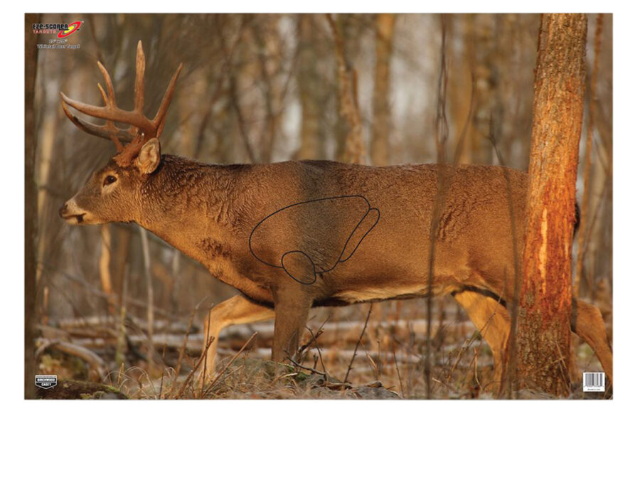 Birchwood Casey 37481 EZE-Scorer  Whitetail Deer Paper Hanging 23" x 35" Multi-Color 2 Per Pkg