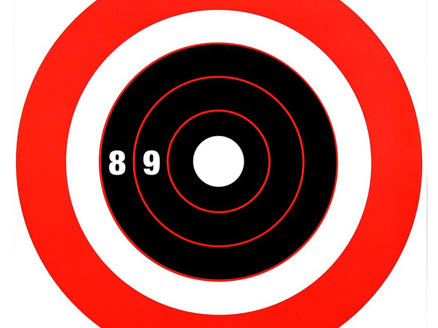 Birchwood Casey 37211 Rigid DH Bullseye Tagboard Hanging 12" x 12" Black/Orange 10 Pk.