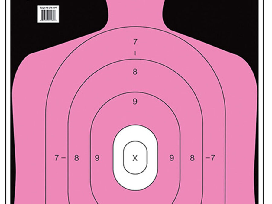 Action Target B27ENPT100 Qualification Shoot for the Cure Silhouette Paper 23" x 35" Pink 100 Per Box