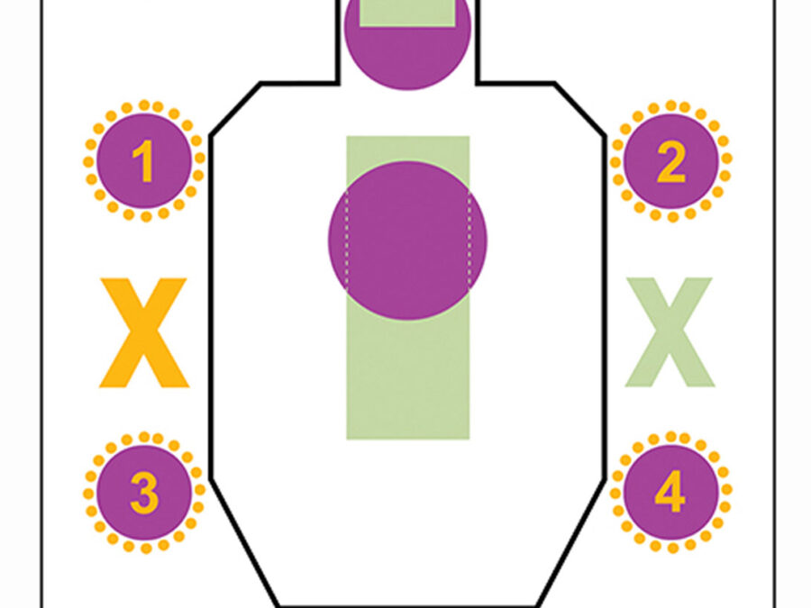 Action Target AGG100 Training A Girl & A Gun IDPA Silhouette Paper 23" x 35" Multi-Color 100 Per Box