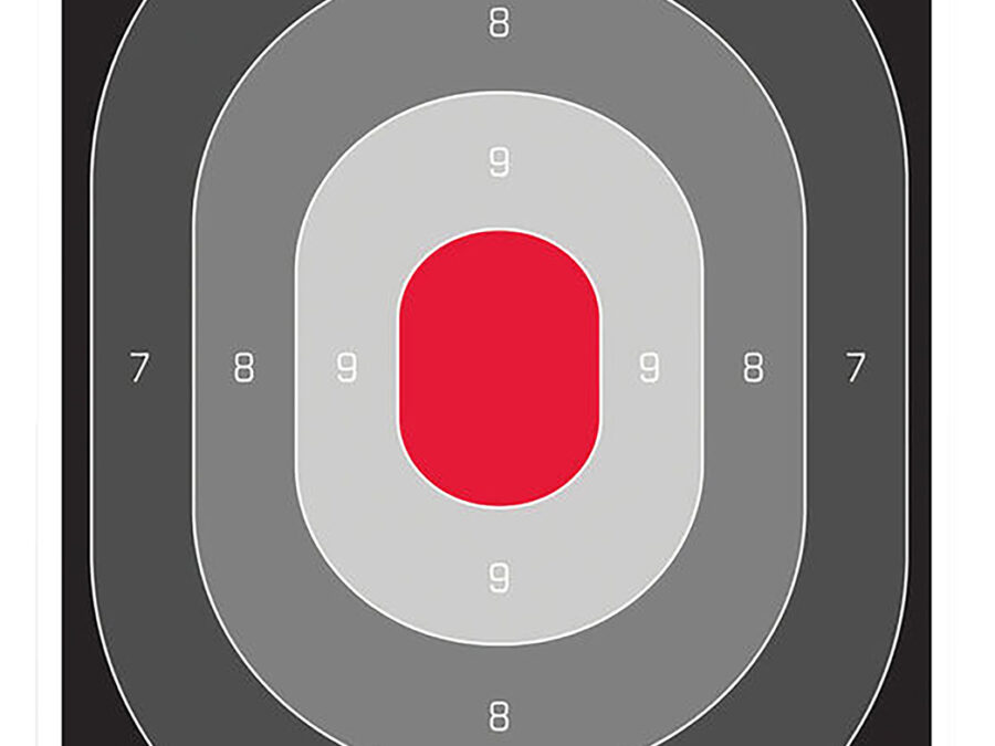 Birchwood Casey 37054 EZE-Scorer  Silhouette Paper Target 23" x 35" 100 Per Pkg