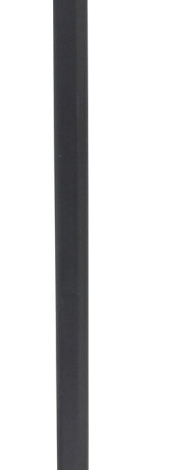 Cold Steel CS91PCAX Axe Head Cane Black Polypropylene 38"