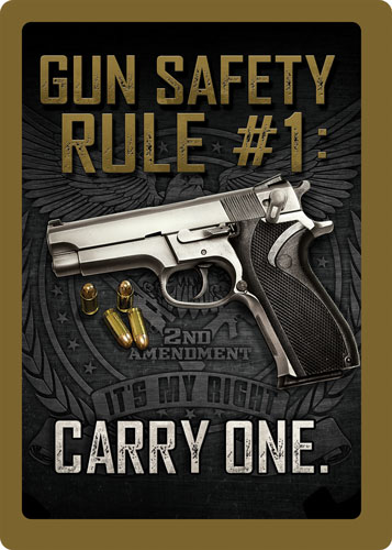 RIVERS EDGE SIGN 12"x17" - "GUN SAFETY"