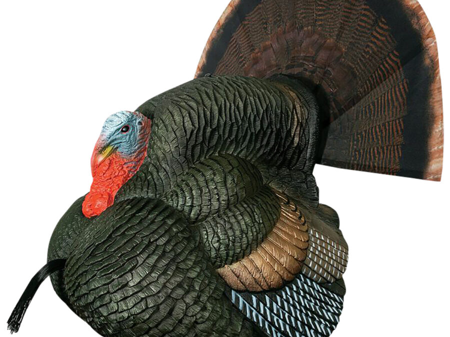 Primos 69076 Lil' Gobblestopper Strutter Box Call Turkey Sounds