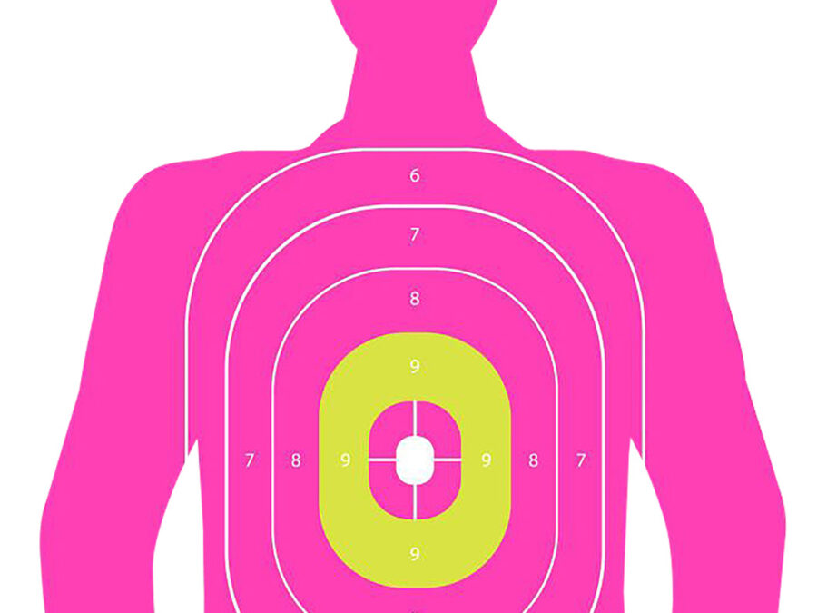 EZ-Aim 15653 In the Pink  Silhouette Paper Works w/Handgun/Shotgun/Airsoft Gun/BB Guns/Pellet Gun Pink 3 Pack