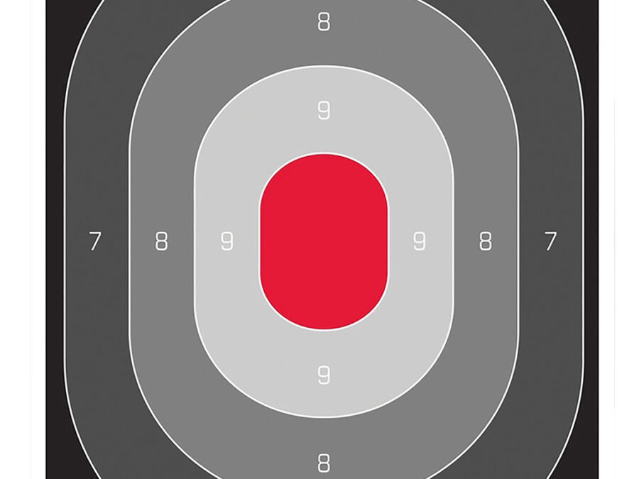 Birchwood Casey 37053 EZE-Scorer Silhouette Oval Target Hanging Paper All Firearms 23" x 35" Black/Gray/Red 5 Targets