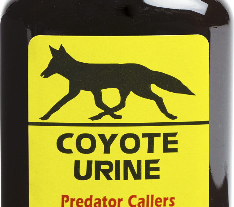 Wildlife Research 523 Coyote Urine  Coyote Attractant 4 oz Bottle
