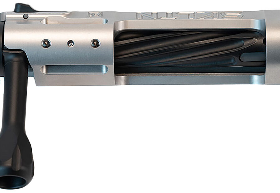 P2 IN-00281 SKLTN SA LH STANDARD SS