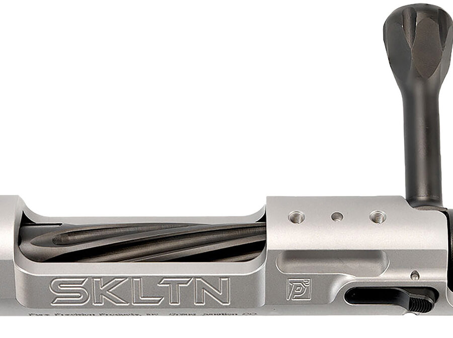 P2 IN-00287 SKLTN SKLTN SA RH STANDARD TI