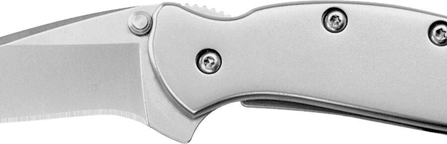 Kershaw 1600 Chive  EDC 1.90" Folding Drop Point Plain Bead Blasted 420HC SS Blade, Bead Blasted Stainless Steel Handle