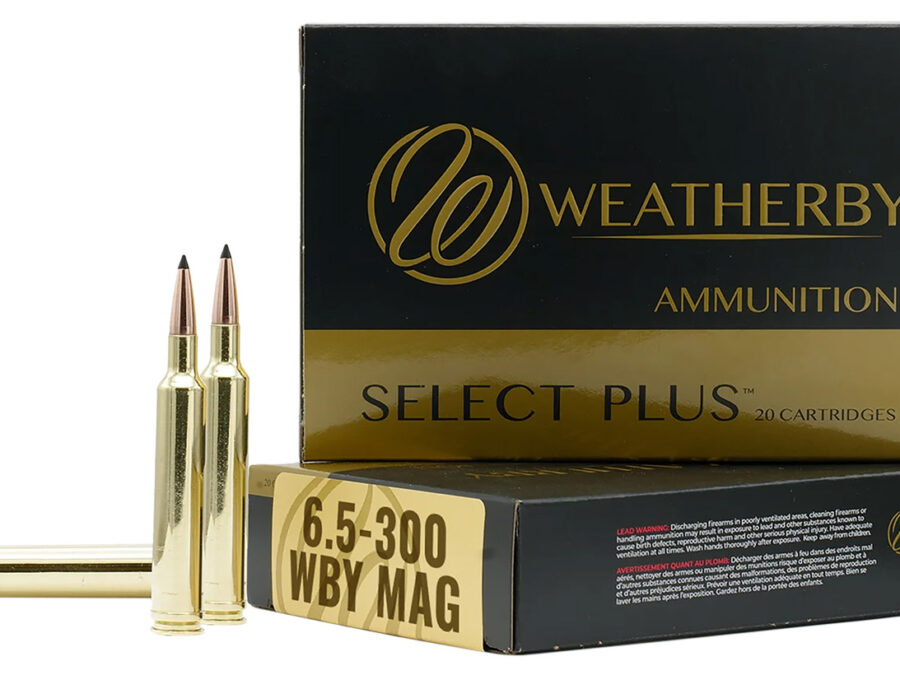 Weatherby H653140IL Select Plus  6.5-300WthbyMag 140gr InterLock 20 Per Box/10 Case