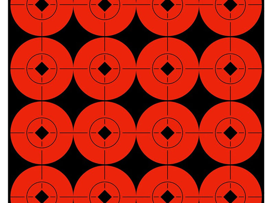 Birchwood Casey 33904 Target Spots  Self-Adhesive Paper Black/Orange 1.5" Bullseye 160 Pack