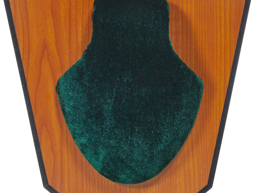 Allen 562 Antler Mounting Kit Green Wood Grain Laminate