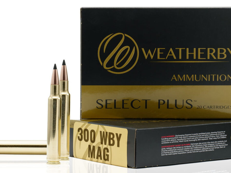 WBY AMMO 300WBY 180GR SIERRA TIPPED GAMEKING