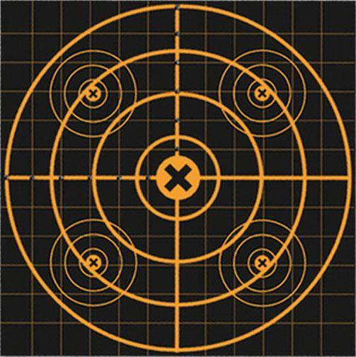 Birchwood Casey Big Burst Revealing Targets Sight-In - 12" 3/Pack
