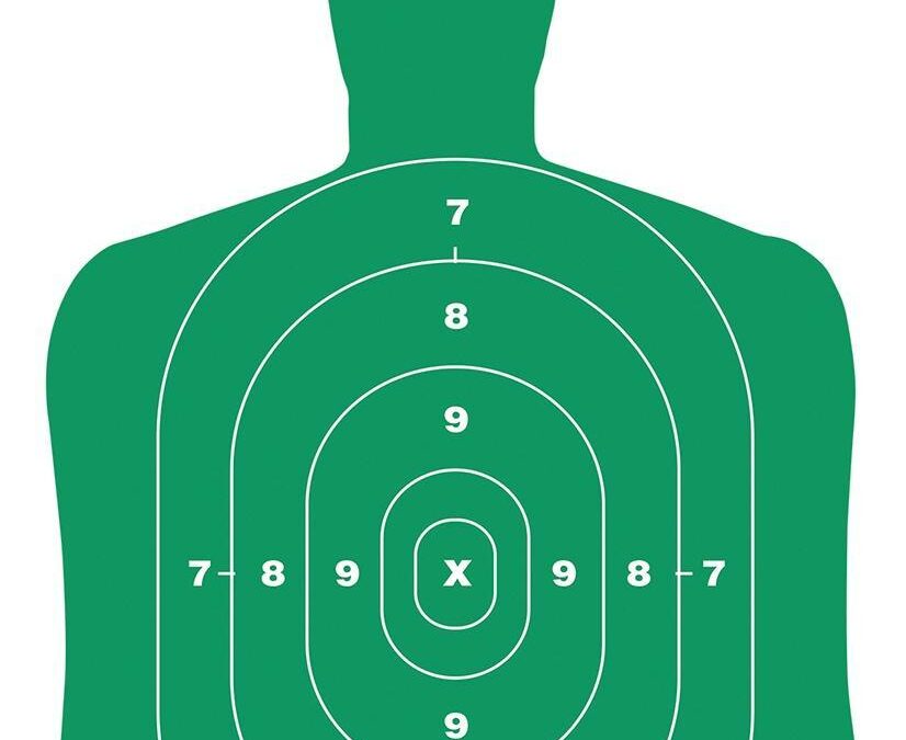 Birchwood Casey Eze-Scorer Targets BC27 Green 12"x18" 10/Pack