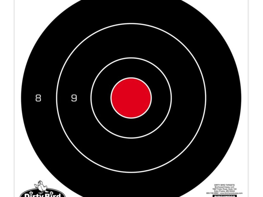 Birchwood Casey Dirty Bird 8" Bull's-Eye Target 200/ct