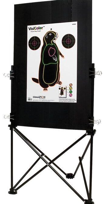 Champion Folding Target Holder