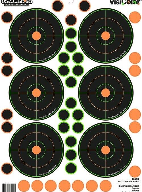 25 YD SM BORE 5PK W/90 PASTORS