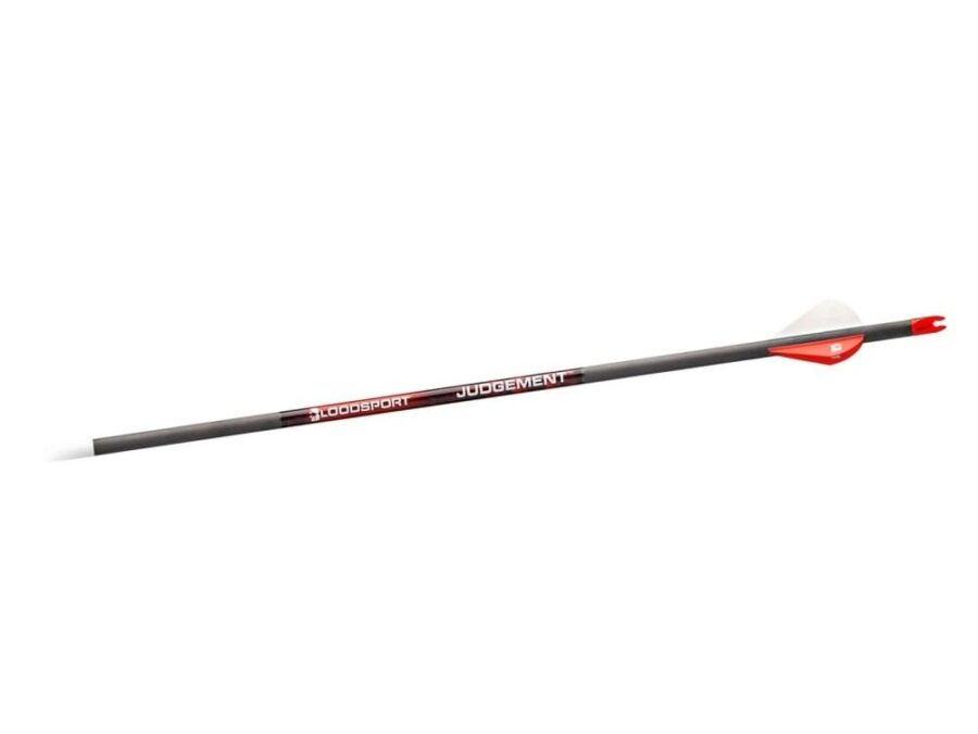 Bloodsport Judgement Arrow 350 Spine 6/pk