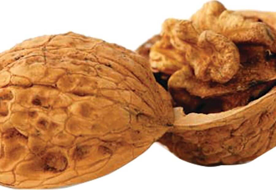 Berry's Walnut Media 8 lb. Box