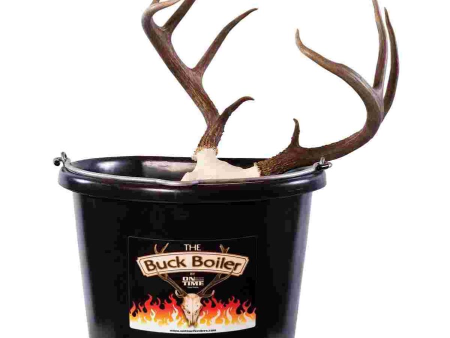 On Time Buck Boiler
