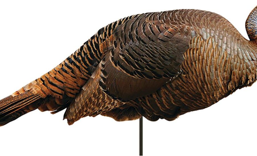 Montana Decoy Co Spring Fling Hen Decoy