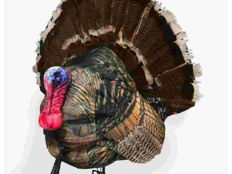 Montana Decoy Co. Wiley Tom 3D Decoy Full Strutting