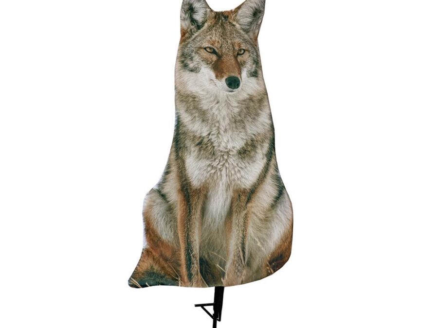 Montana Decoy Sitting Coyote Decoy