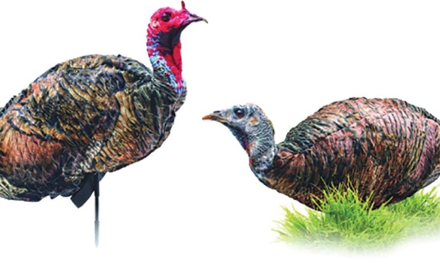 Montana DecoyCo PurrFect Pair XD Turkey Combo