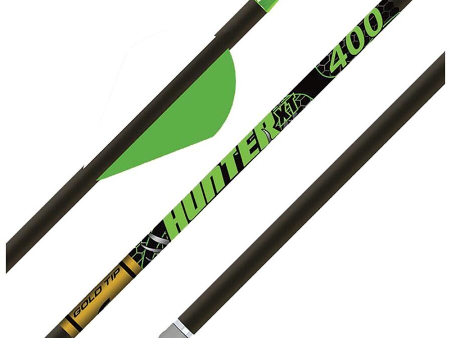 Gold Tip Hunter XT 300 2in Raptor Vanes - 1/2dz