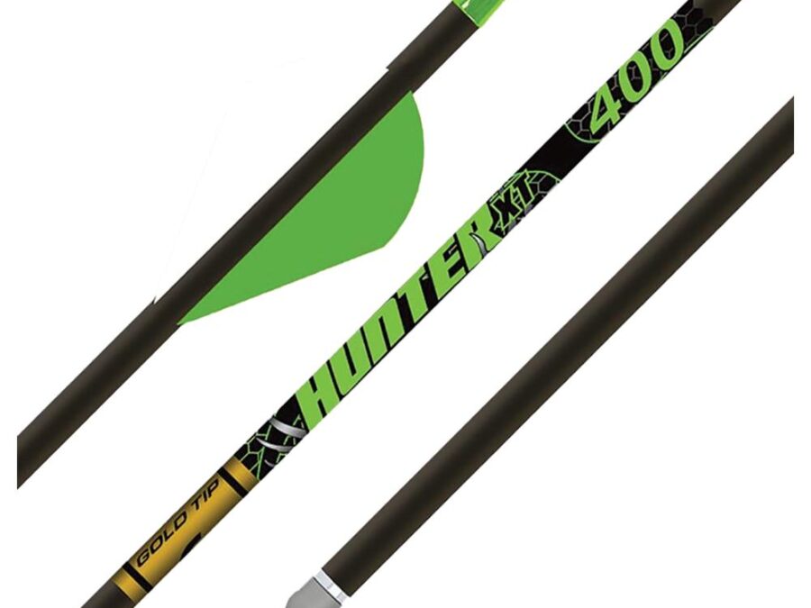 Gold Tip Hunter XT 400 2in Raptor Vanes - 1/2dz
