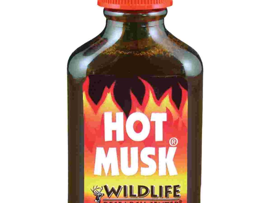 Wildlife Research Hot Musk