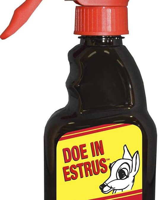 Wildlife Research Doe in Estrus 8 FL OZ