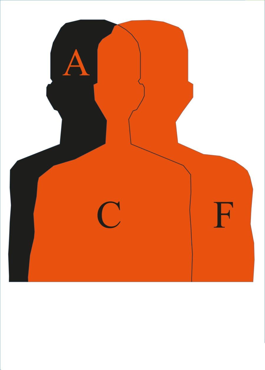 ROMTES SCT 3 SCORING ZONE HOSTAGE & FOE TYPE C