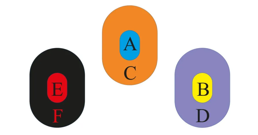 ROMTES SCT 5 SCORING ZONE TRUING TARGET TYPE C
