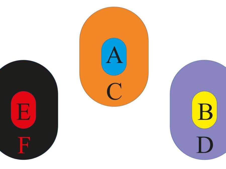 ROMTES SCT 5 SCORING ZONE TRUING TARGET TYPE C