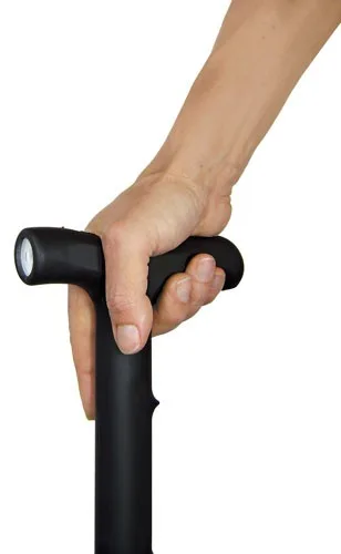zapcane_in-hand-jpg.webp