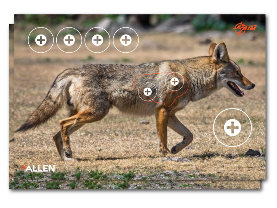 EZ-Aim 15284 Four Color  Coyote Paper Hanging 23" x 35" Multi-Color 2 Per Pkg